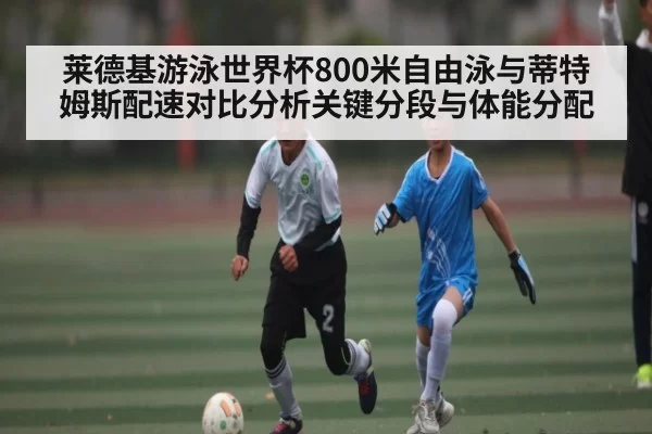 莱德基游泳世界杯800米自由泳与蒂特姆斯配速对比分析关键分段与体能分配