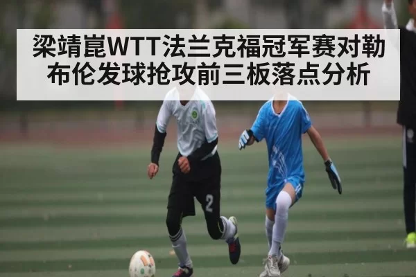 梁靖崑WTT法兰克福冠军赛对勒布伦发球抢攻前三板落点分析